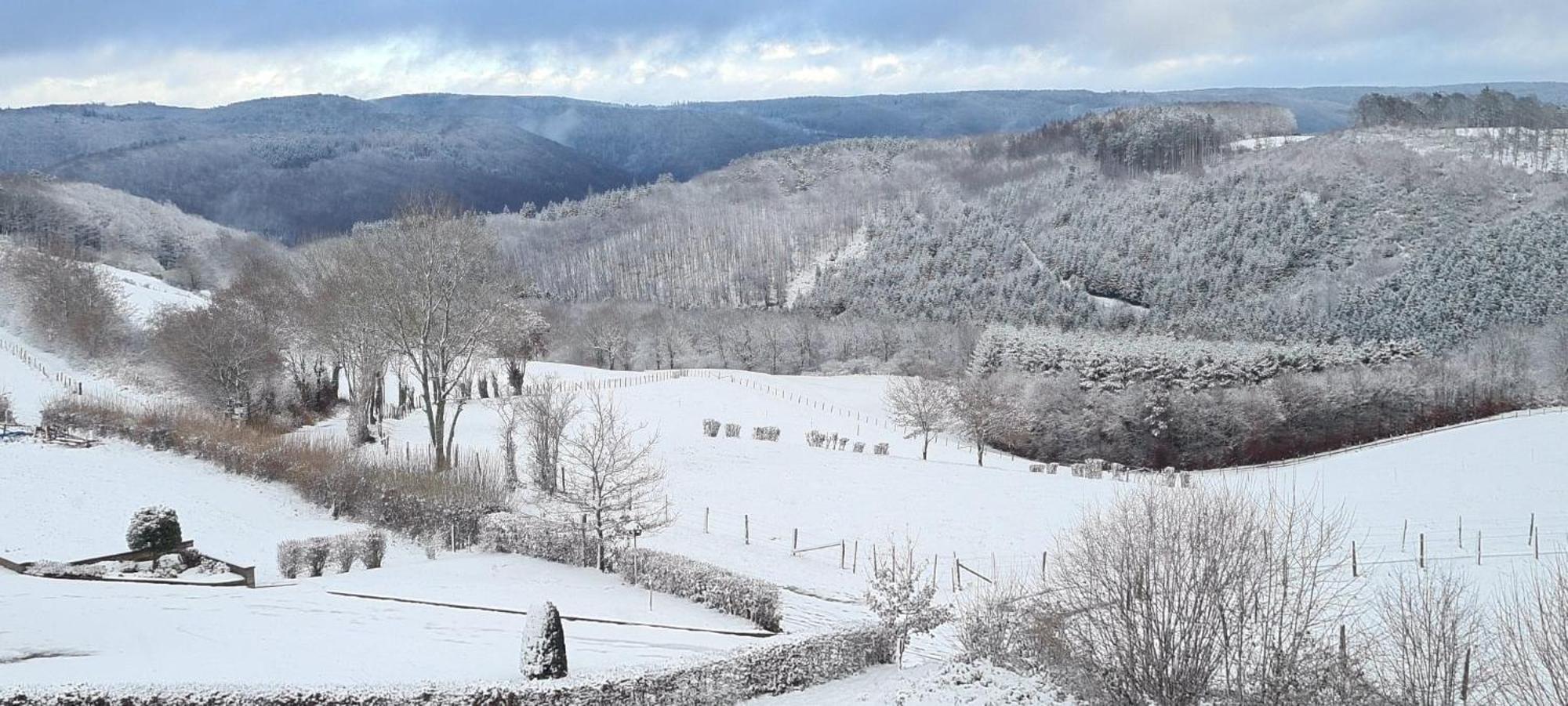 Fewo-Eifel-Morsbach Schleiden Εξωτερικό φωτογραφία